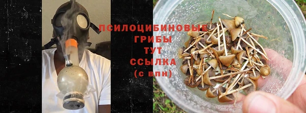 a pvp Баксан