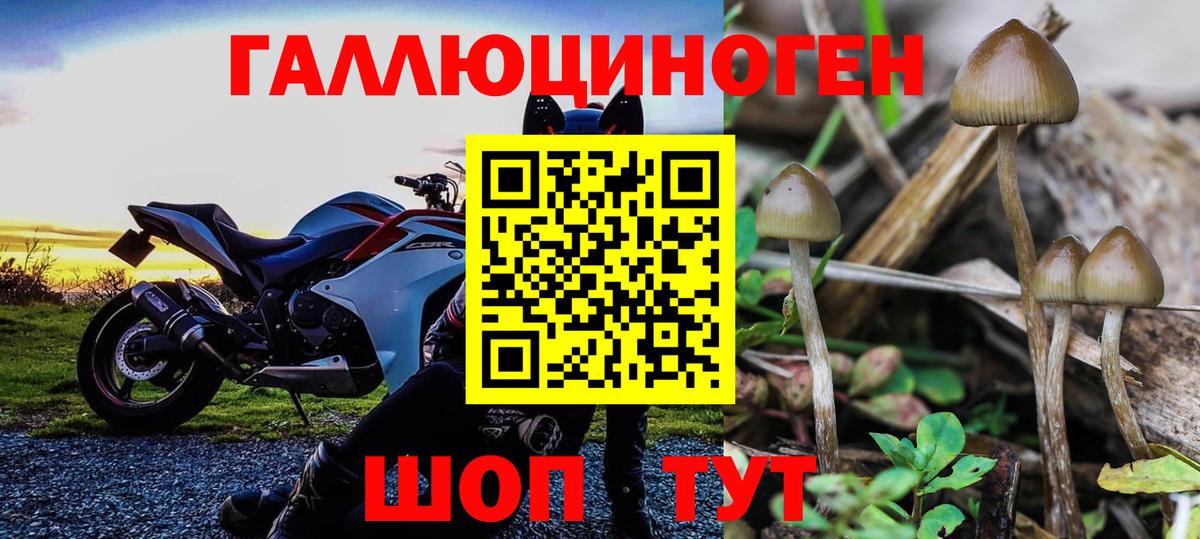 Галлюциногенные грибы мицелий Кувандык